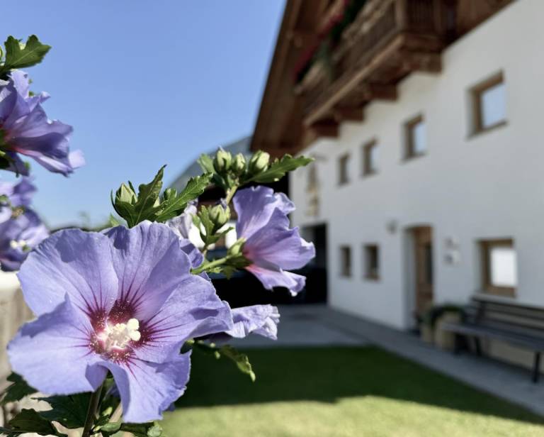 Ferienwohnung in Umhausen für max. 5 Gäste
