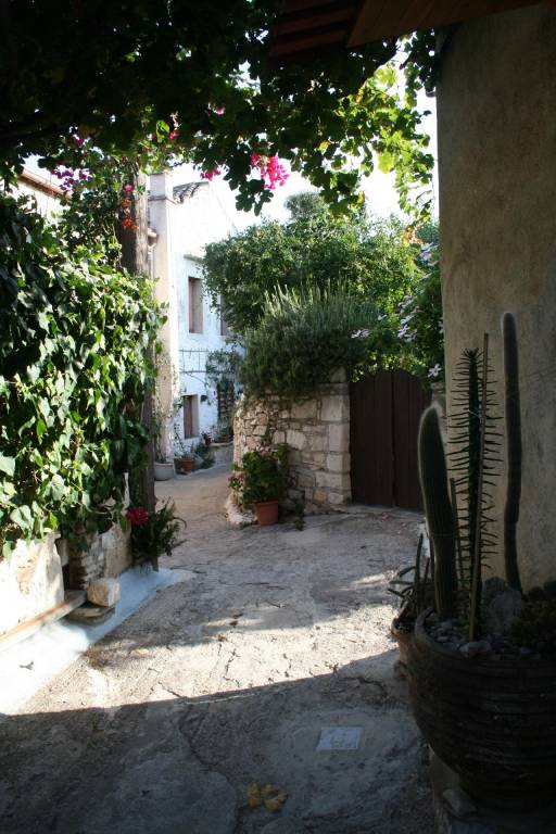 foto21