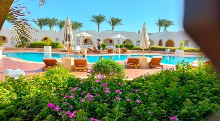 Domina Coral Bay Prestige Harem Sultan in Sharm El Sheikh