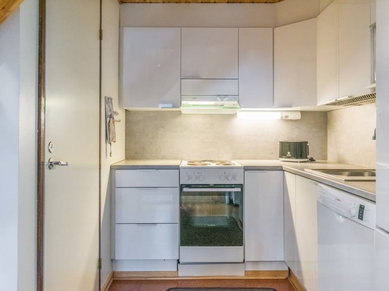 Vacation home with sauna — photo 5