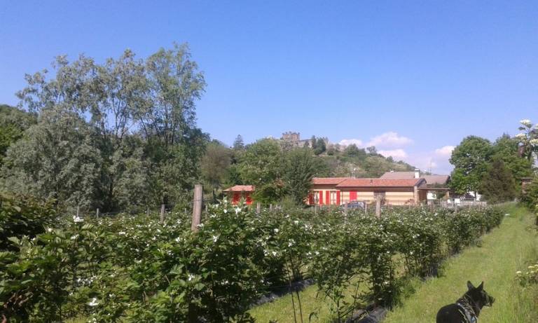 foto5