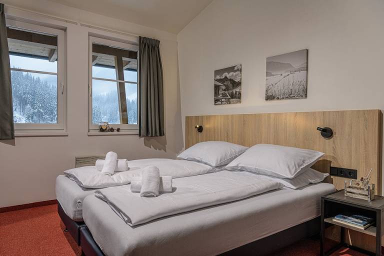 Aparthotel Viehhofen