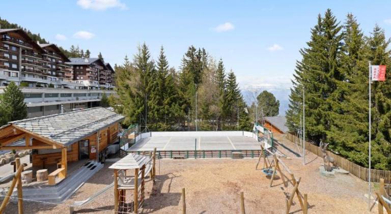 Magnifique appartement au coeur des 4 Vallees — photo 4
