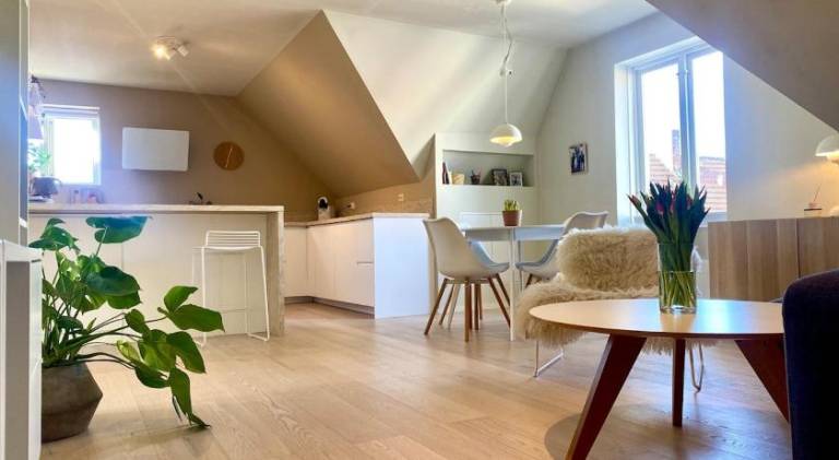 Nice apartment | Dogs allowed — photo 3