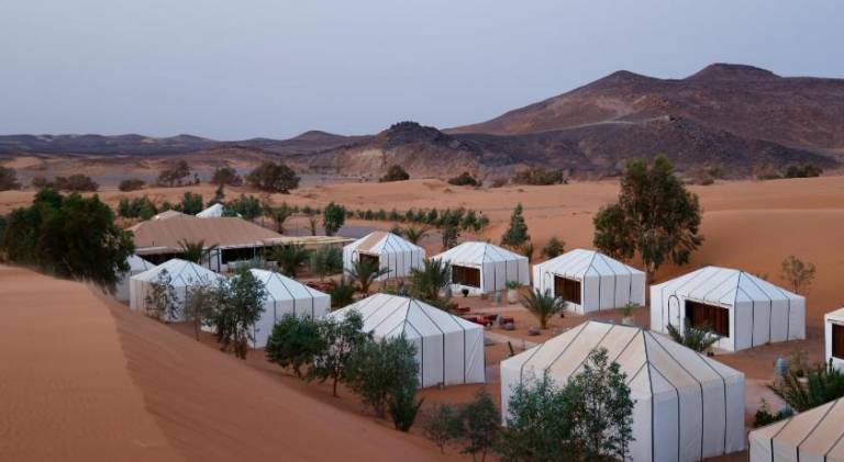 Desert Soul Camp — photo 4