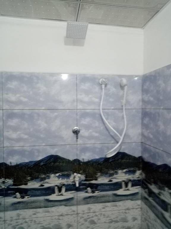 foto1