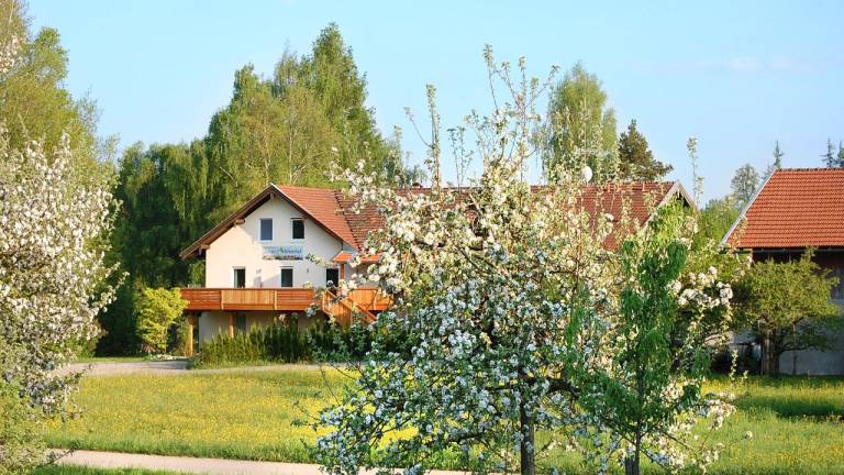Ferienwohnung Taching am See