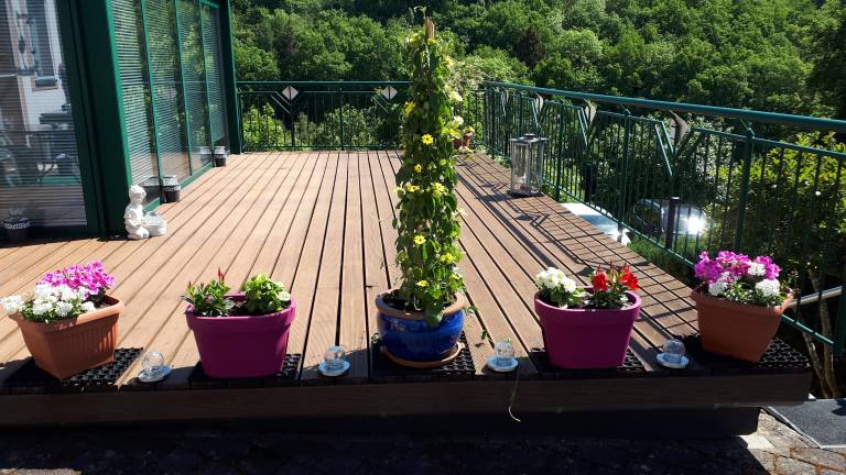 foto21