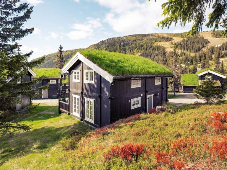 Hus Kvitfjell