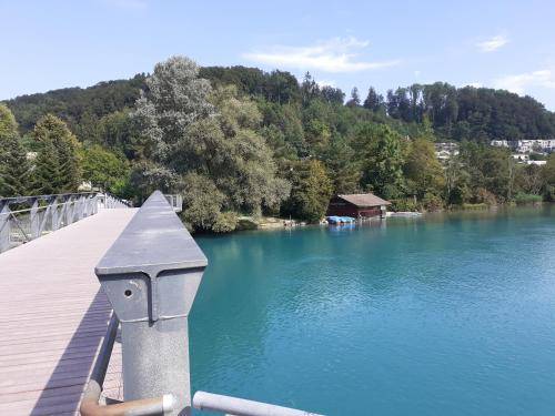 foto2