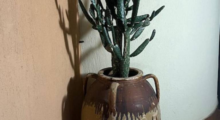 foto33