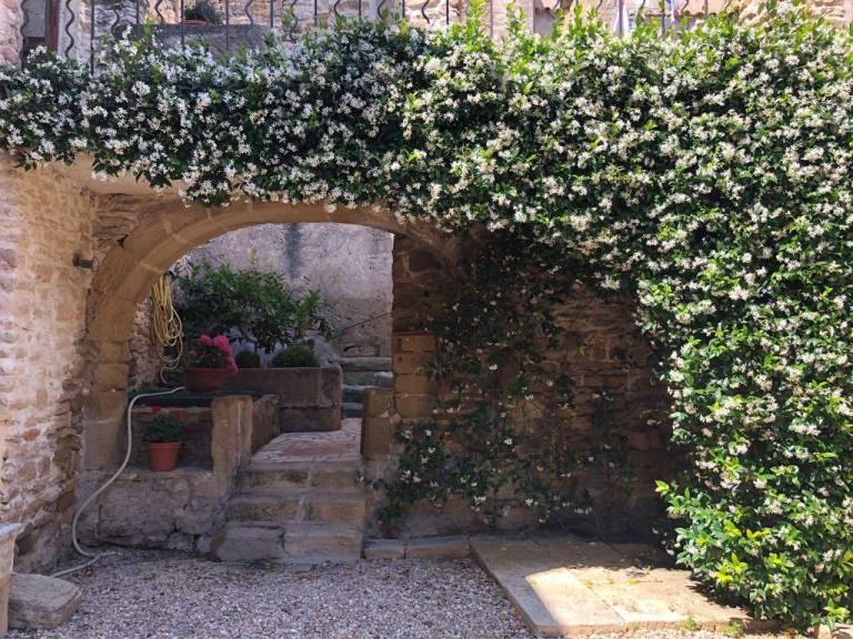Schönes altes Steinhaus in der Provence