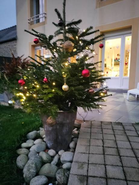 foto1