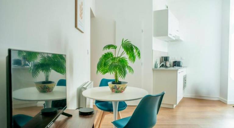 Rental apartment with terrace | Next to Capitole de Toulouse — photo 2