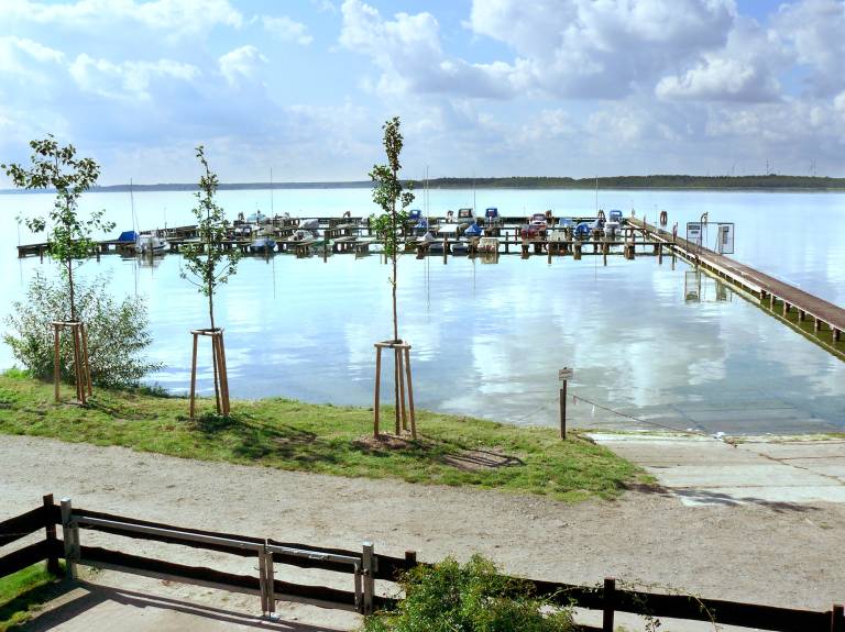 foto6