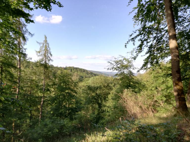 foto41