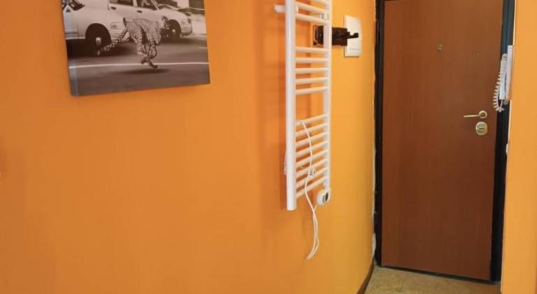Holiday apartment | Dogs allowed — photo 4