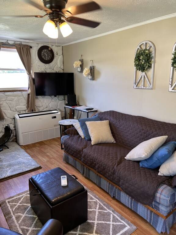 Cabin Ivy