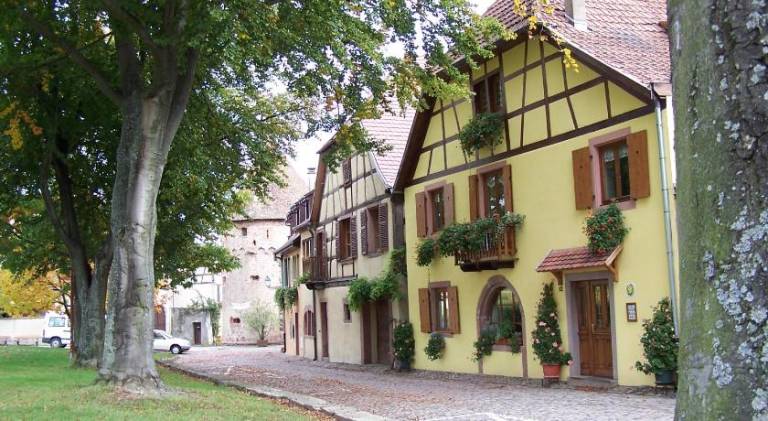 foto11