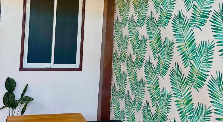Amancio's Balai - Near Airport, Capitol, City! — photo 4