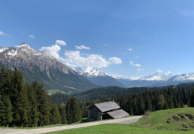 Ferienhaus Parpan
