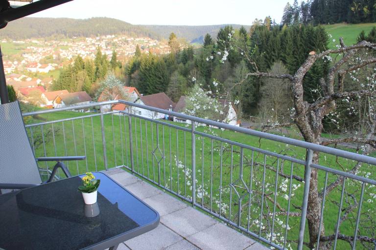 foto16