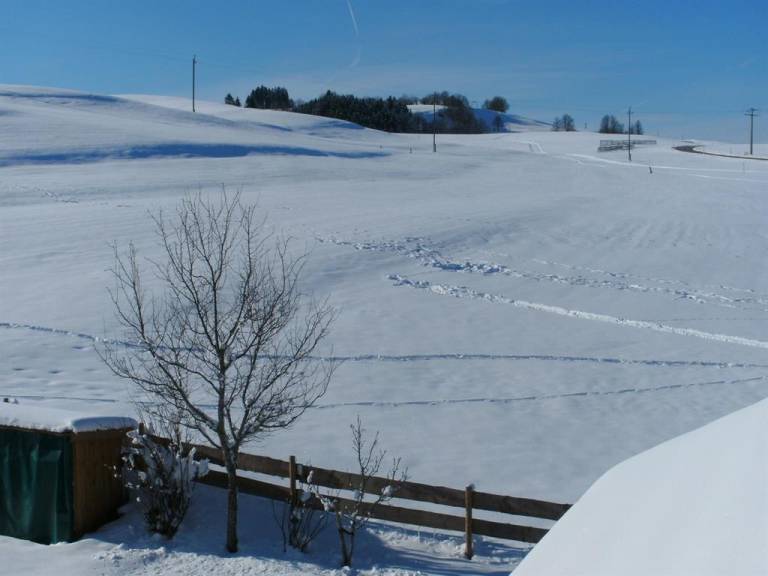 foto11