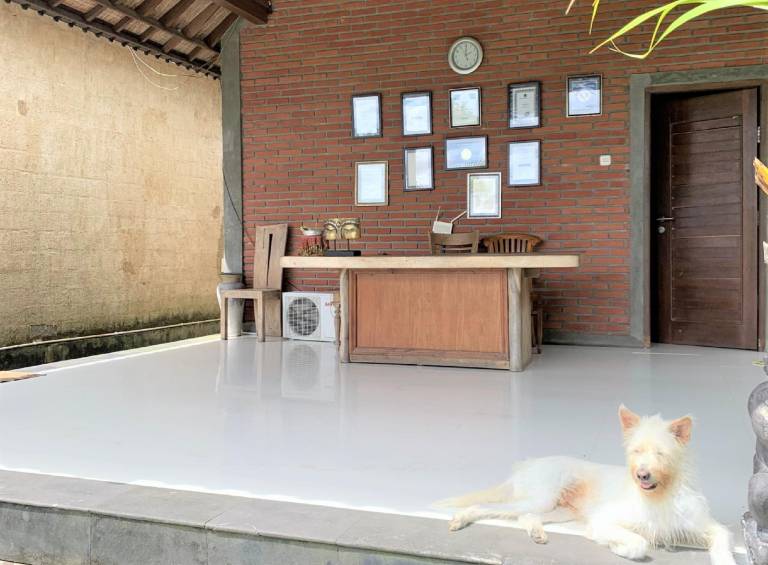Bagiya Suites and Villas — photo 4