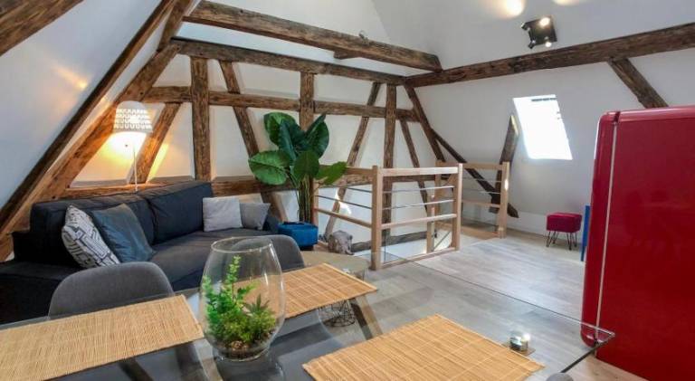 Beautiful holiday apartment | Pets are welcome in Colmar