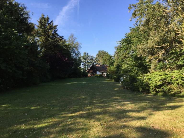foto15
