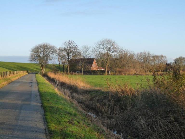 foto10