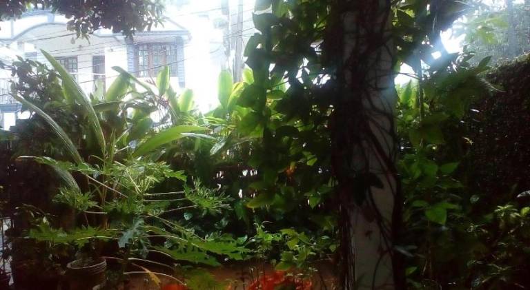 foto14