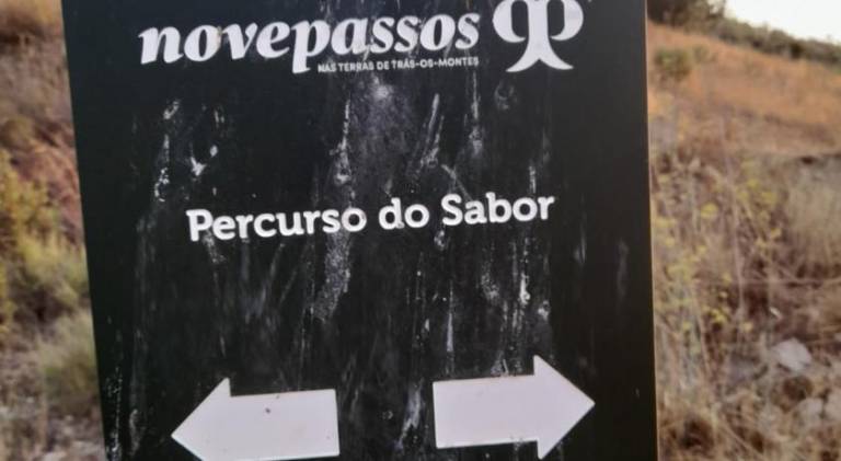 foto47