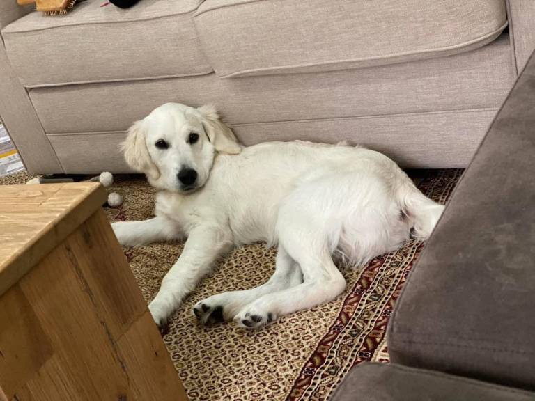 Private room  Berowra