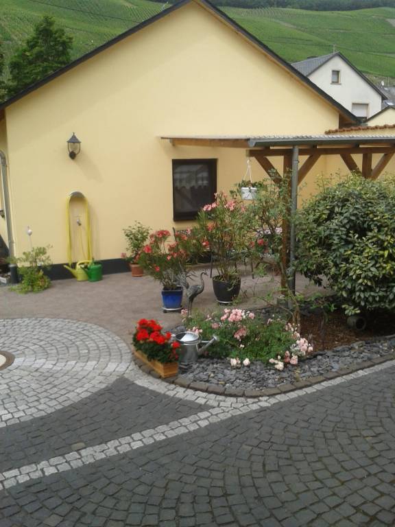 foto11