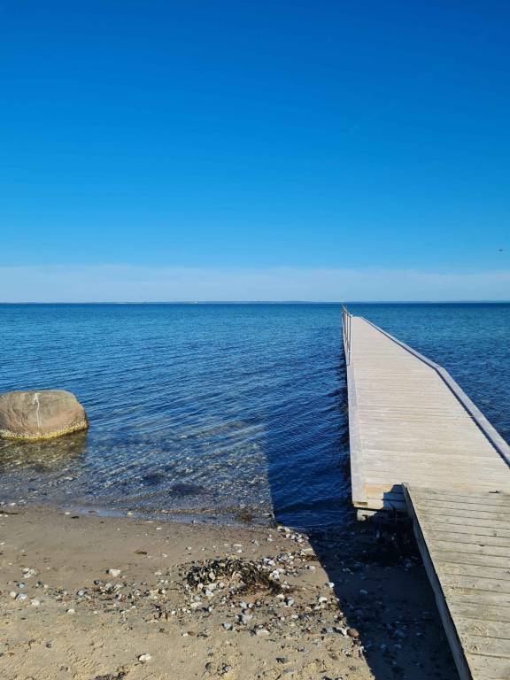 Family-friendly nice vacation home with garden & grill | Beach view | Dogs allowed — photo 2