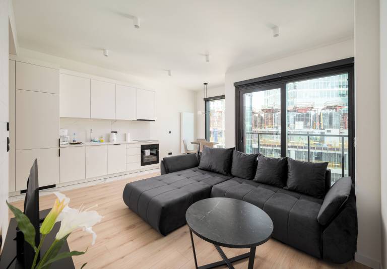 Apartament Nowe Miasto