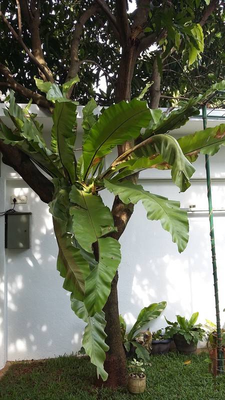 foto7