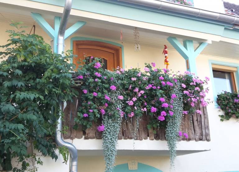 Ferienwohnung  Herbolzheim