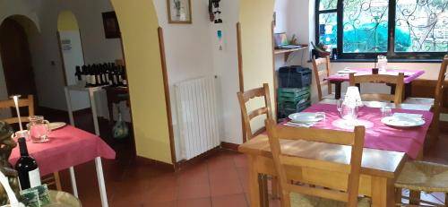 foto17