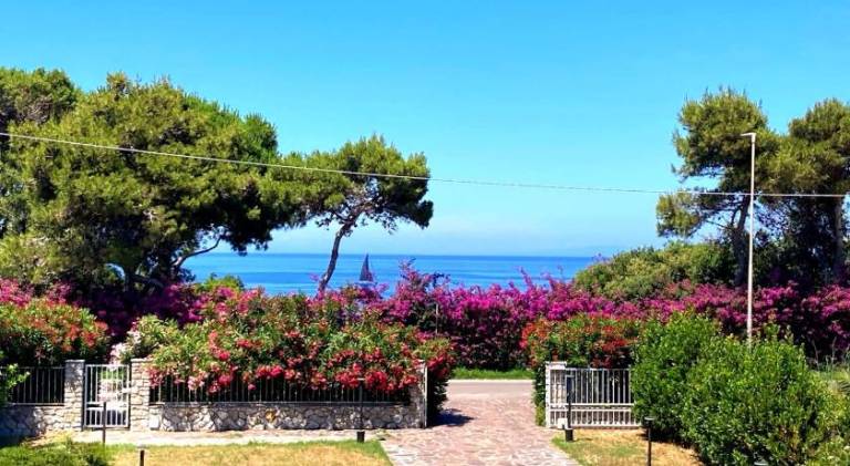 Rental apartment with garden, barbecue & patio | Close to the beach | Perfect for remote work | Pets allowed in Portoferraio