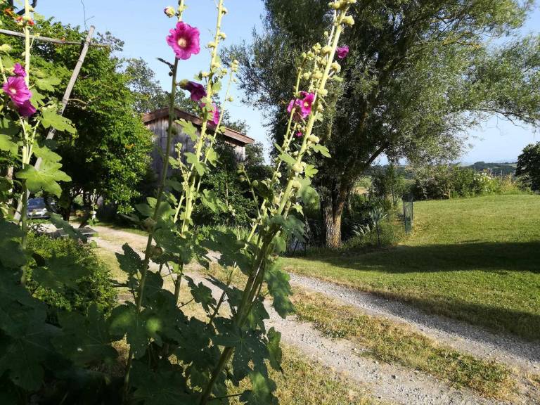 foto20
