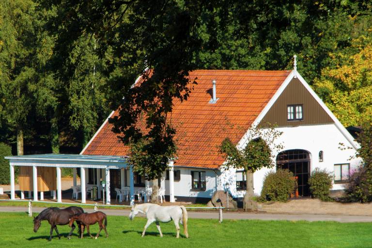 Chalet Ootmarsum