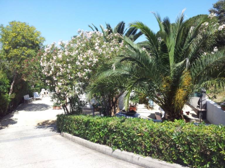 Apartment with BBQ & yard — photo 3