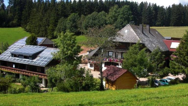 Ferienwohnung Furtwangen im Schwarzwald