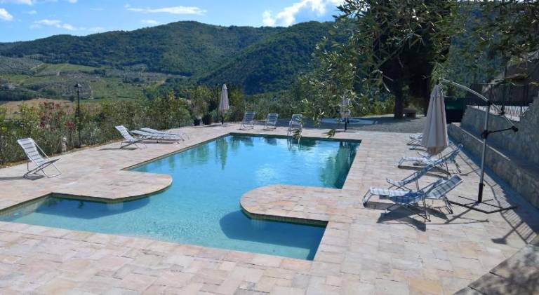 Farm with pool, patio & yard in Pontassieve