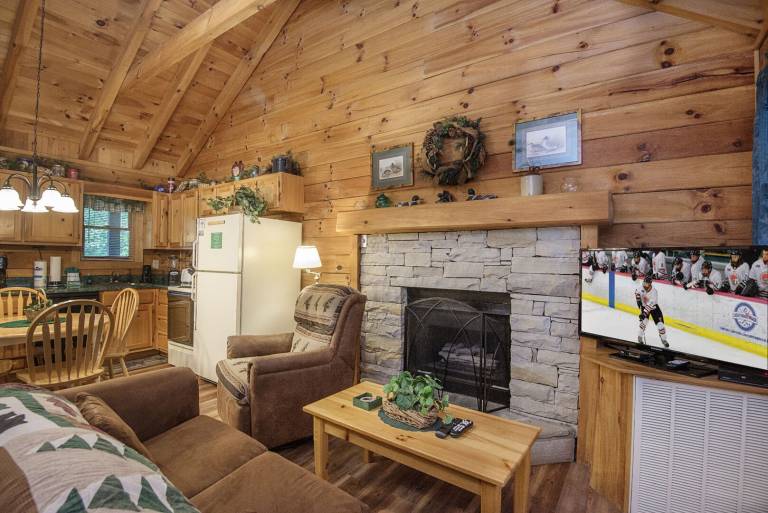 Cabin with private pool — photo 4