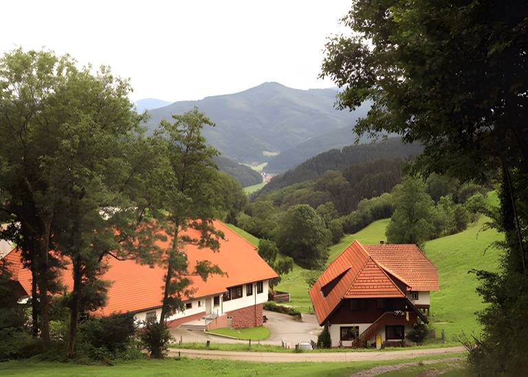 foto12