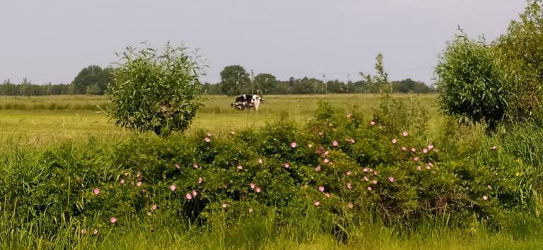 foto15
