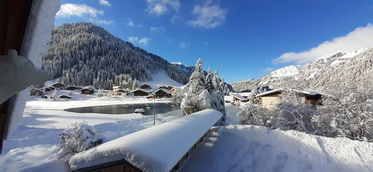 Chalet Châtel